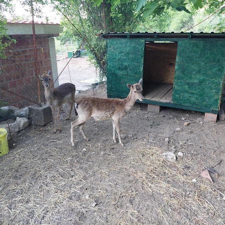 Gavros Apartmani ヴィルパザル エクステリア 写真