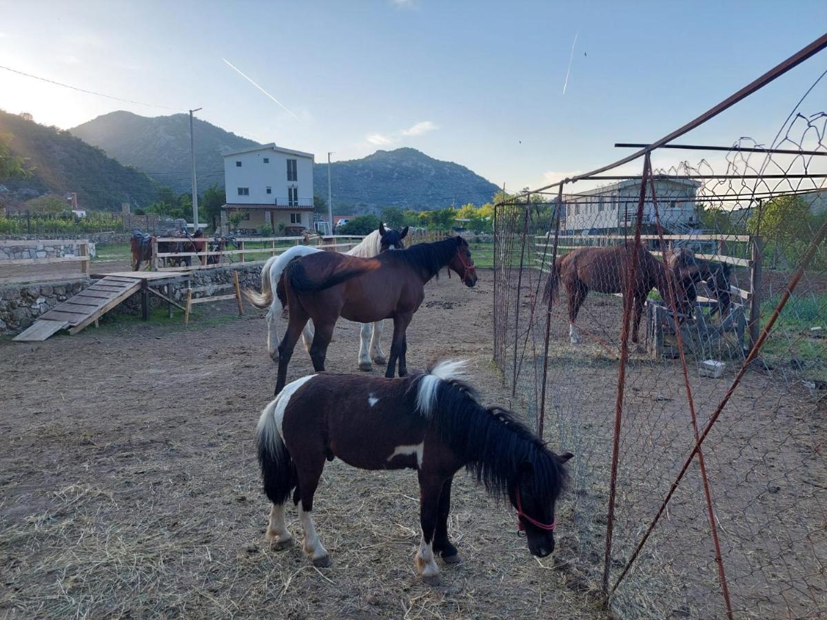 Gavros Apartmani ヴィルパザル エクステリア 写真